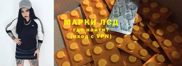 PSILOCYBIN Белокуриха
