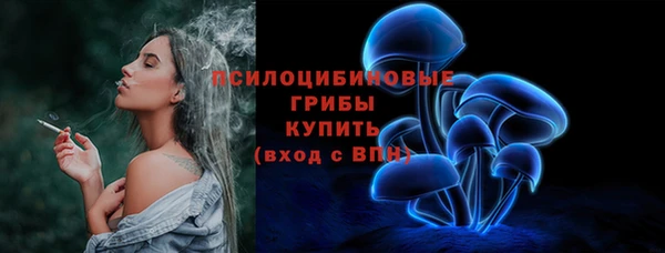 PSILOCYBIN Белокуриха