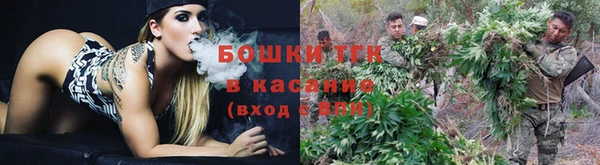 Альфа ПВП Беломорск